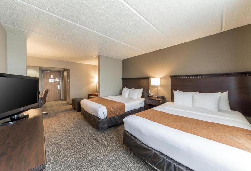 جناح لذوى الاحتياجات الخاصة, Comfort Suites Austin Airport