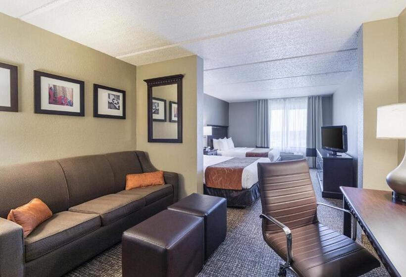 جناح لذوى الاحتياجات الخاصة, Comfort Suites Austin Airport