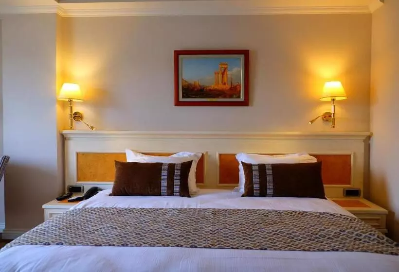اتاق استاندارد, Ece Saray Marina Resort