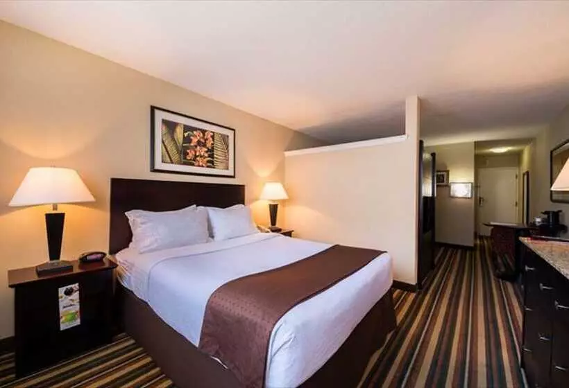 اتاق استاندارد, Holiday Inn & Suites Orlando Sw   Celebration Area, An Ihg