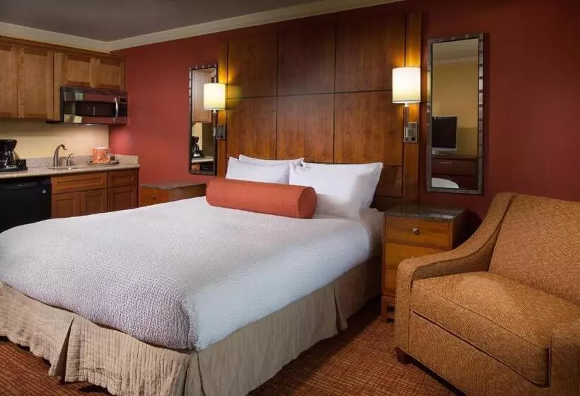 キングサイドベッドのスタンダードワンルーム, Residence Inn By Marriott St. Petersburg Treasure Island