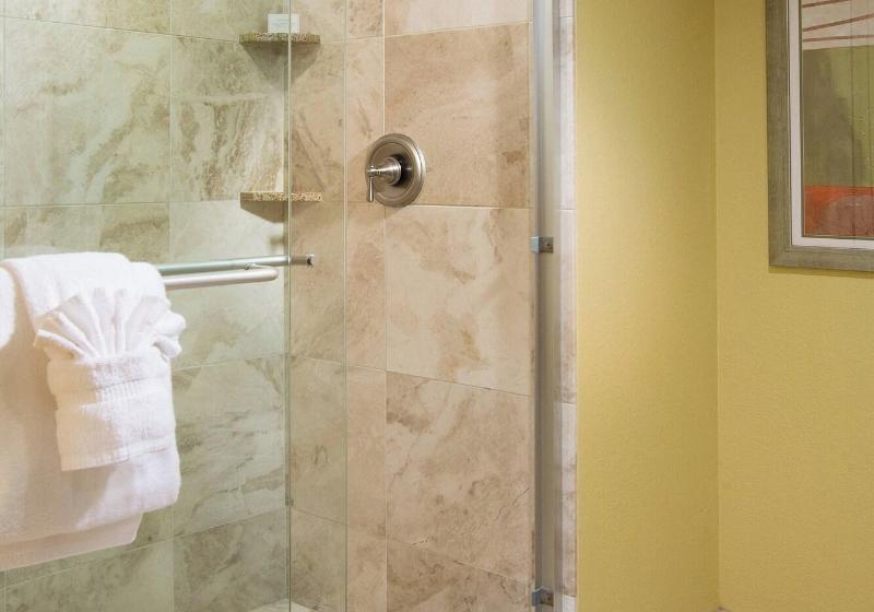سوئیت با تخت بزرگ, Residence Inn By Marriott St. Petersburg Treasure Island