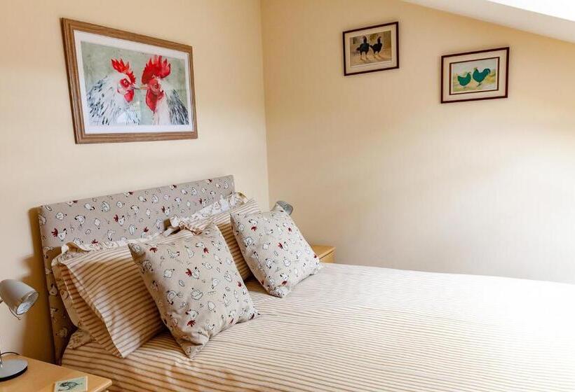 标准间, Higher Farm