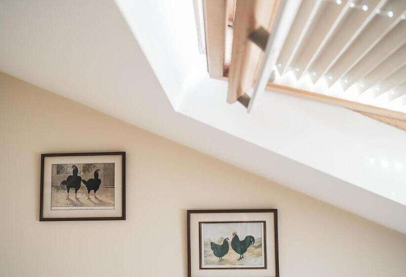 标准间, Higher Farm