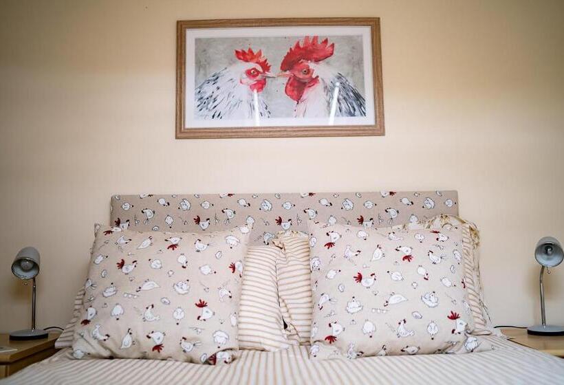 标准间, Higher Farm