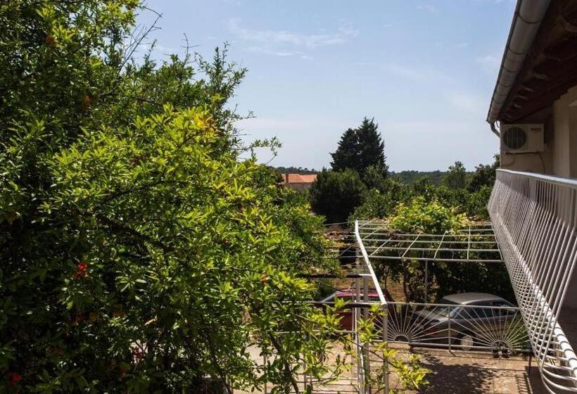 Номер Стандарт с Террасой, Guest House Godimento