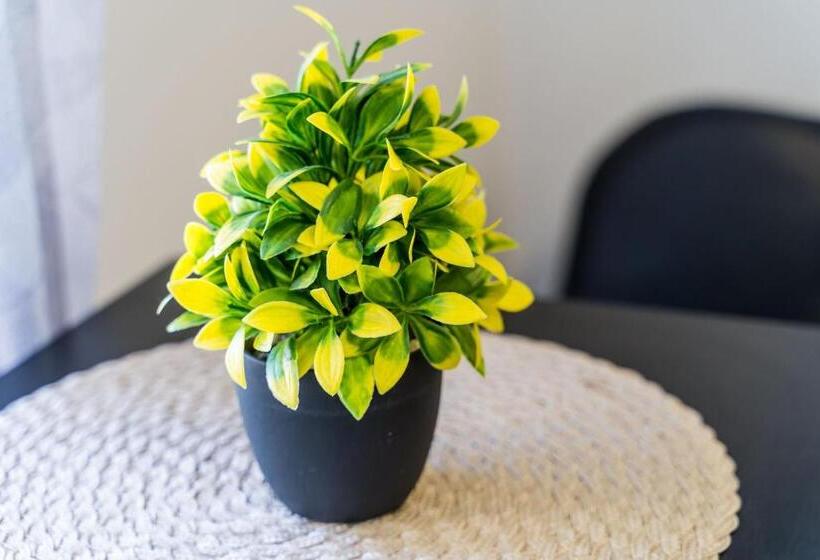 Апартаменты 1 Спальня с Террасой, Guest House Godimento