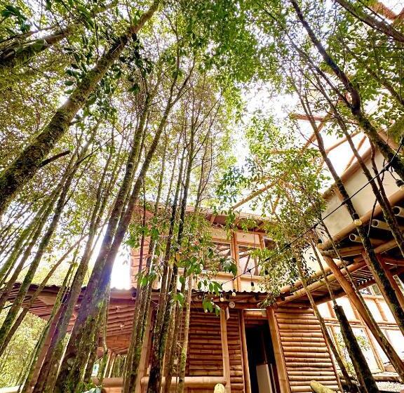 4인용 수피리어 룸, Eco Hotel Terrabella