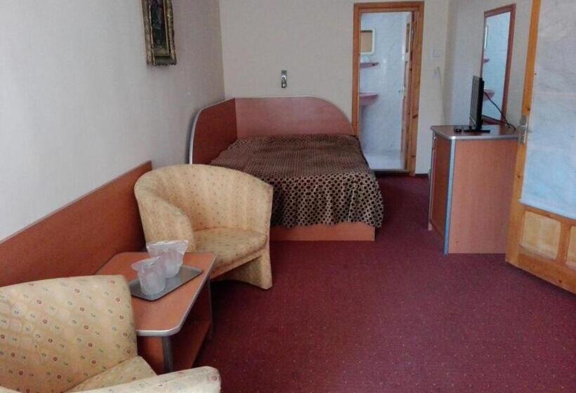 חדר סטנדרט עם מרפסת, Pensiunea Capra Neagră