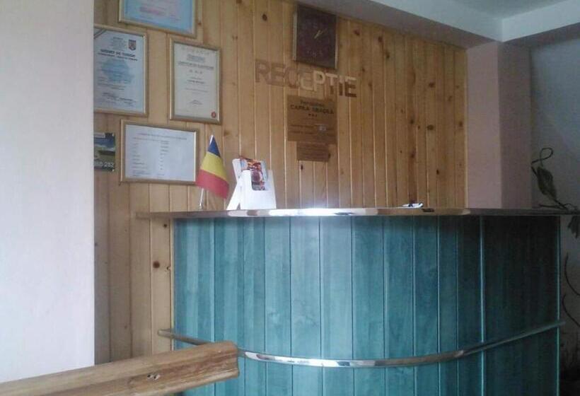 חדר סטנדרט עם מרפסת, Pensiunea Capra Neagră