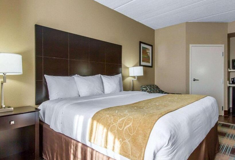 اتاق استاندارد با تخت بزرگ, Comfort Suites Airport