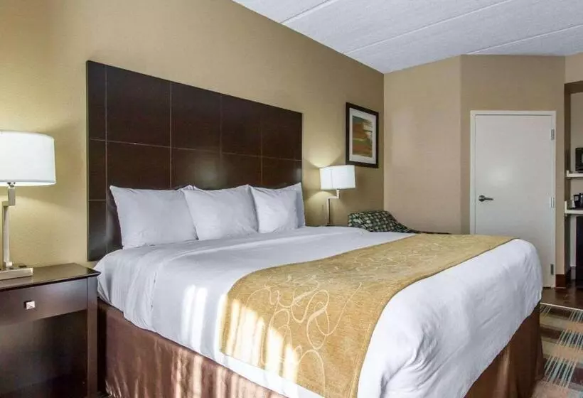 اتاق استاندارد با تخت بزرگ, Best Western Kenner
