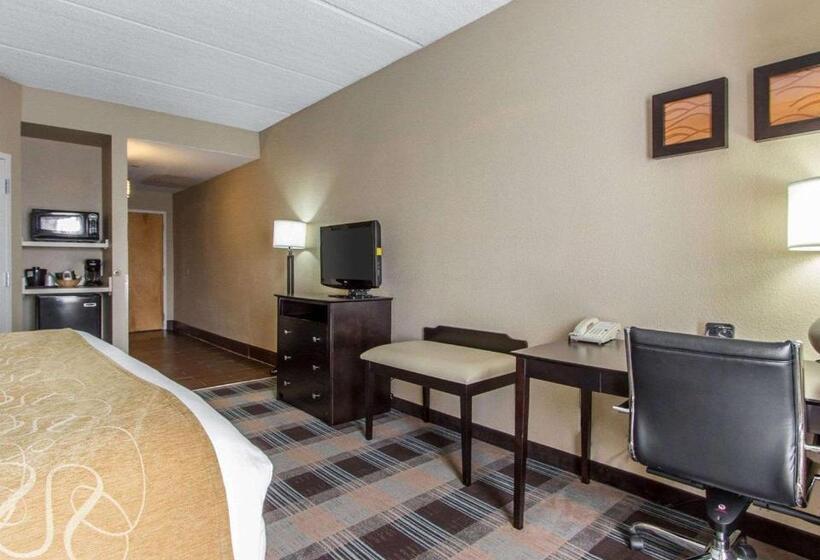 Pokój Standard Łóżko King Size, Comfort Suites Airport
