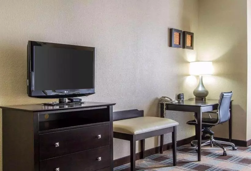 اتاق استاندارد با تخت بزرگ, Best Western Kenner