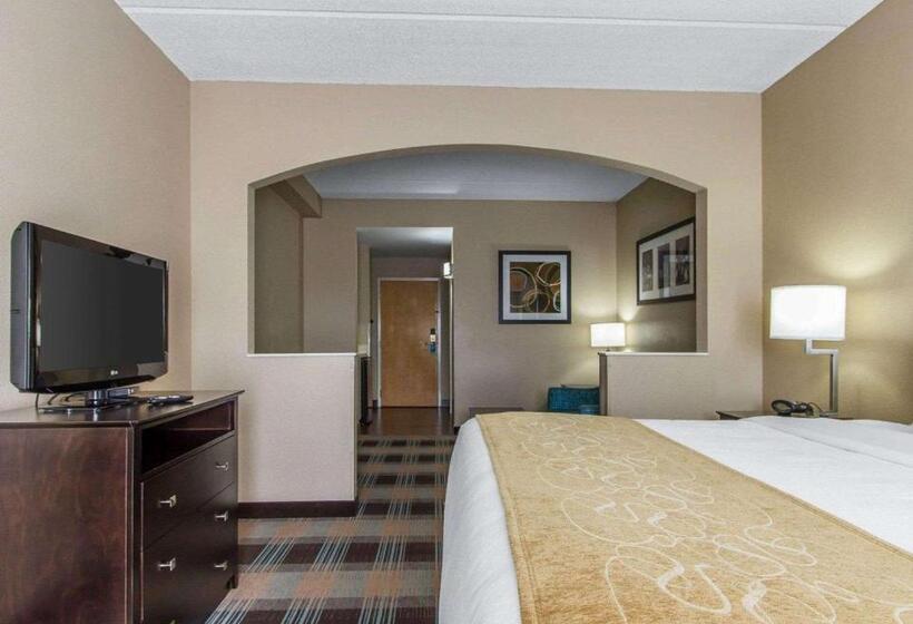 سوئیت با تخت بزرگ, Comfort Suites Airport