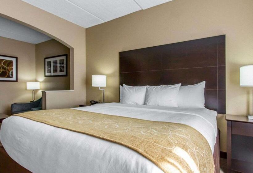 Suite Łóżko King Size, Comfort Suites Airport