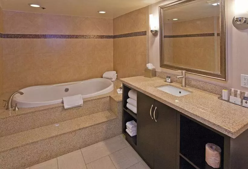 سوییت جونیور, Doubletree By Hilton Los Angeles Rosemead
