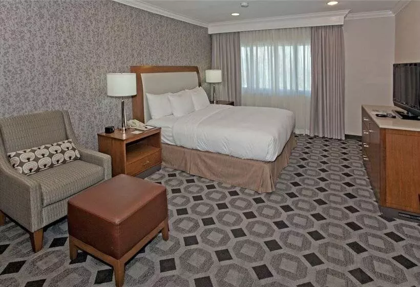 سوییت جونیور, Doubletree By Hilton Los Angeles Rosemead