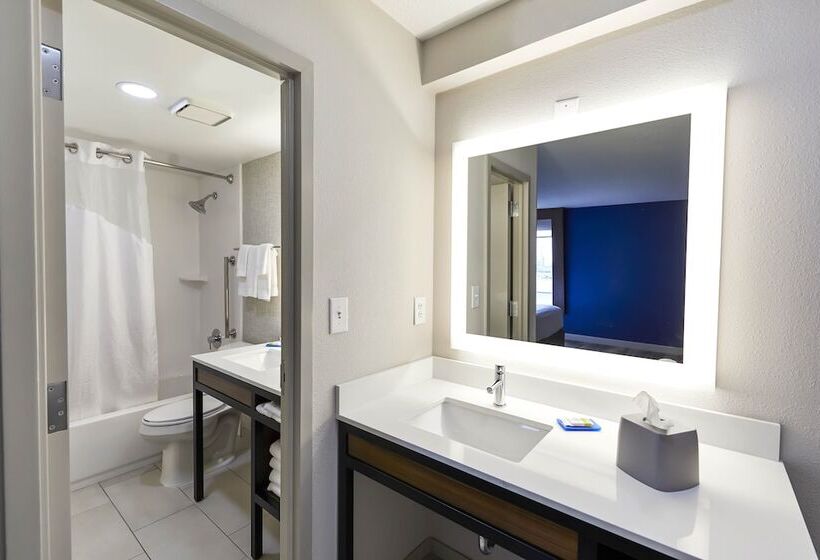 سوییت, Holiday Inn Express Nashville Downtown   Broadway, An Ihg