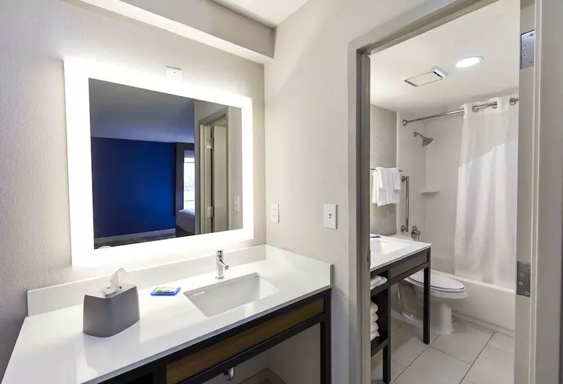 سوئیت برای معلولان, Holiday Inn Express Nashville Downtown   Broadway, An Ihg