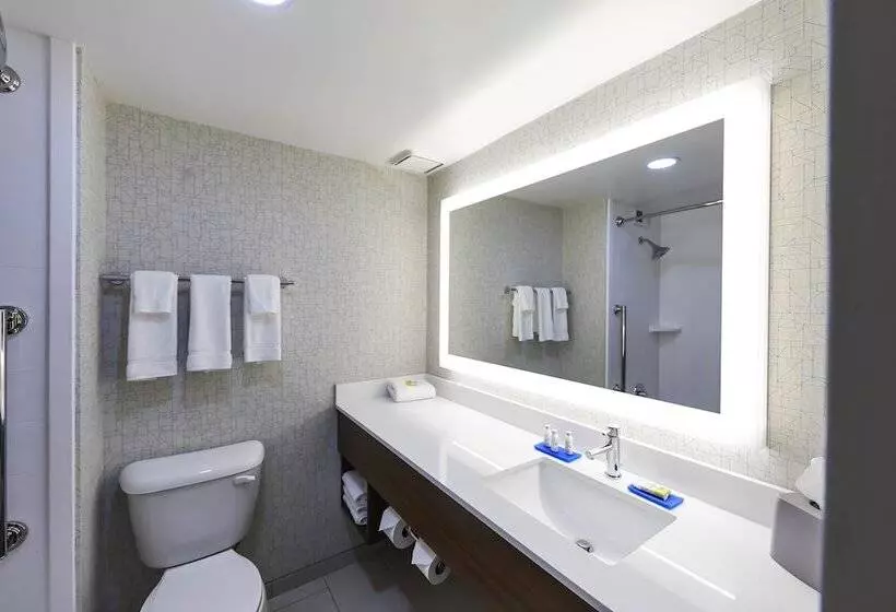 سوئیت برای معلولان, Holiday Inn Express Nashville Downtown   Broadway, An Ihg