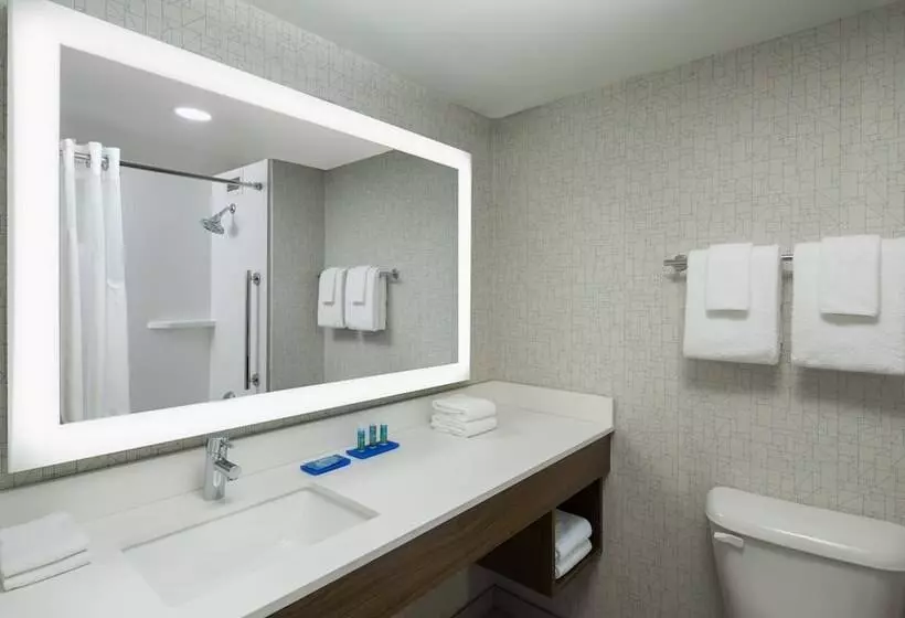 سوئیت برای معلولان, Holiday Inn Express Nashville Downtown   Broadway, An Ihg
