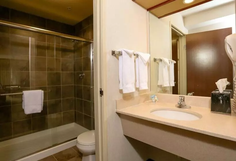 スイート, Holiday Inn West Yellowstone, An Ihg
