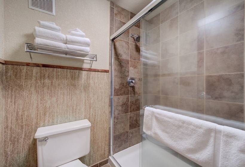 Номер Стандарт, Holiday Inn West Yellowstone, An Ihg