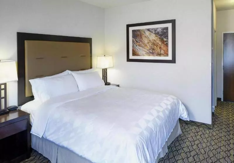 キングサイズベッドのスタンダードルーム, Holiday Inn West Yellowstone, An Ihg
