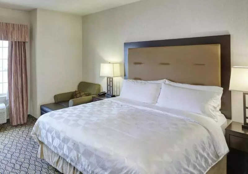 キングサイズベッドのスタンダードルーム, Holiday Inn West Yellowstone, An Ihg