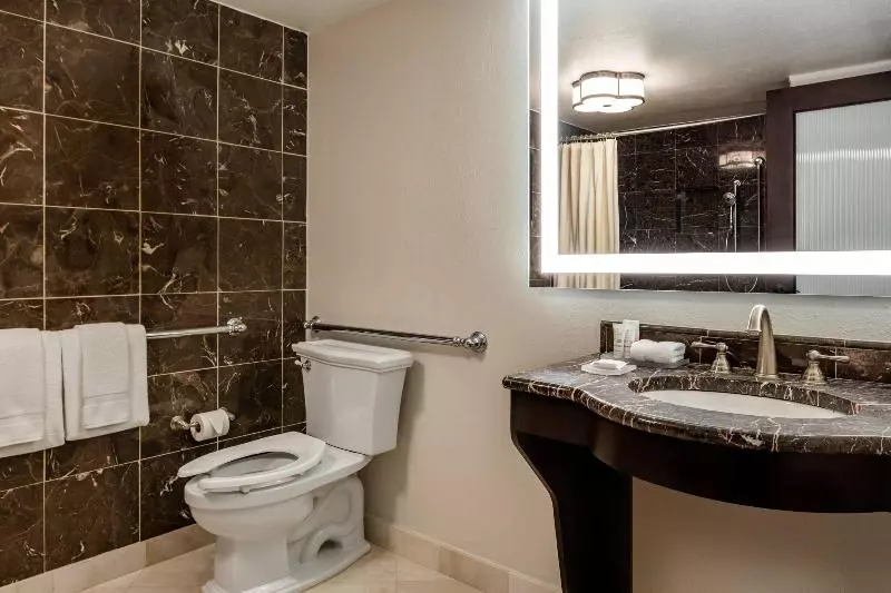 اتاق استاندارد با تخت بزرگ, Hollywood Beach Marriott