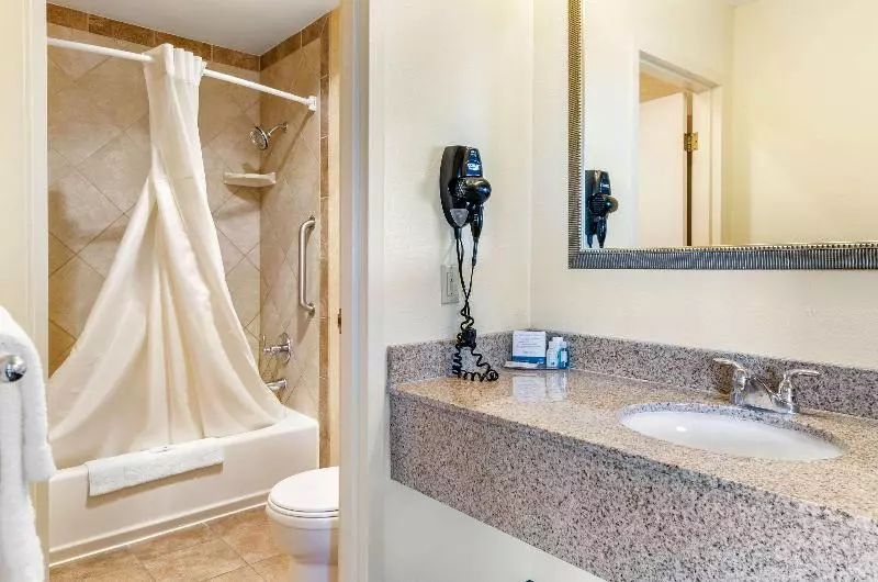 スタンダードルーム, Comfort Suites Idaho Falls