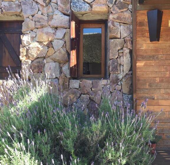 テラス付きスタンダードワンルーム, Esteños De La Pedrera Posada Y Spa