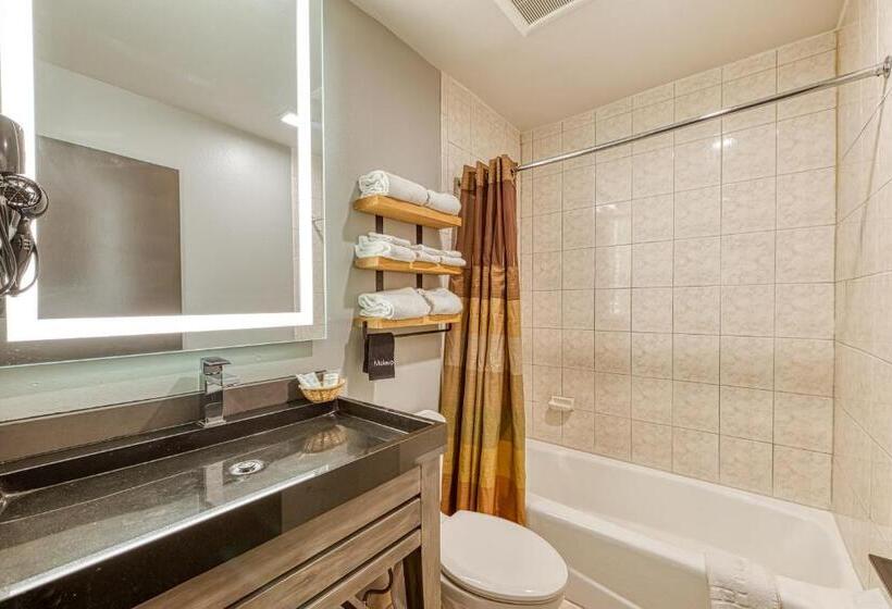 غرفة ديلوكس, La Mirage Inn  Hollywood