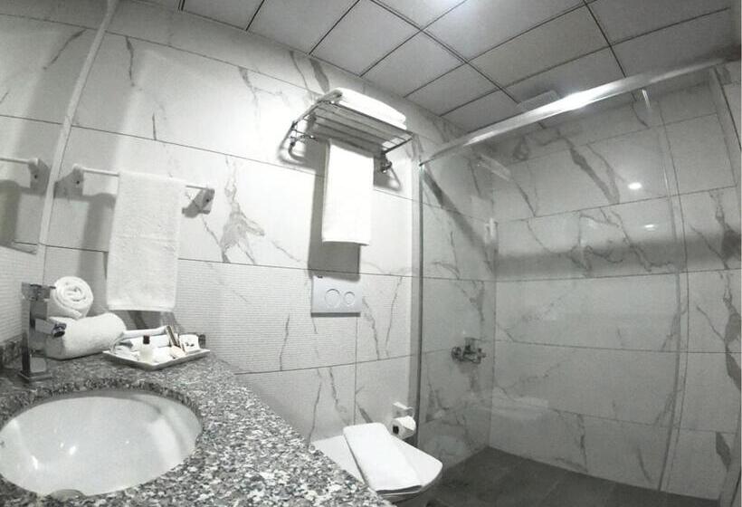 חדר סטנדרט יחיד עם מרפסת, Asi̇wa