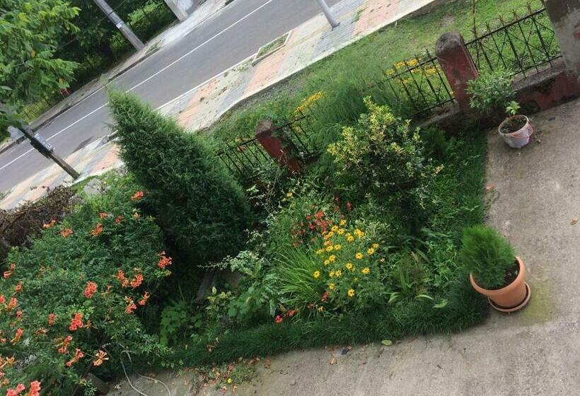 اتاق راحتی سه تخته, Natia Guest House