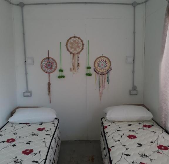 חדר סטנדרט, El Vagón