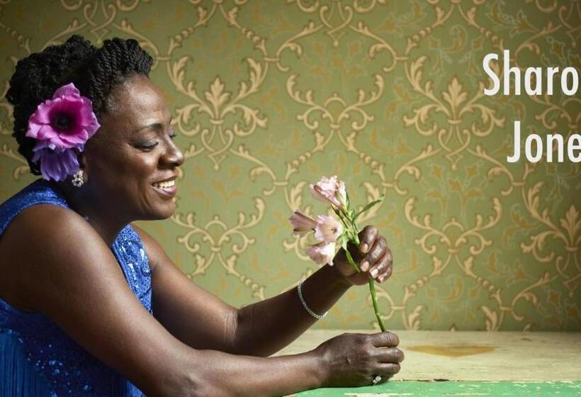 标准间, The Harlem Flophouse