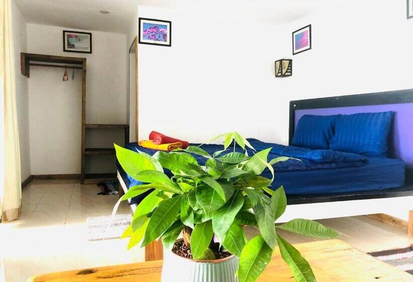 豪华洋房, Sunny Bungalow