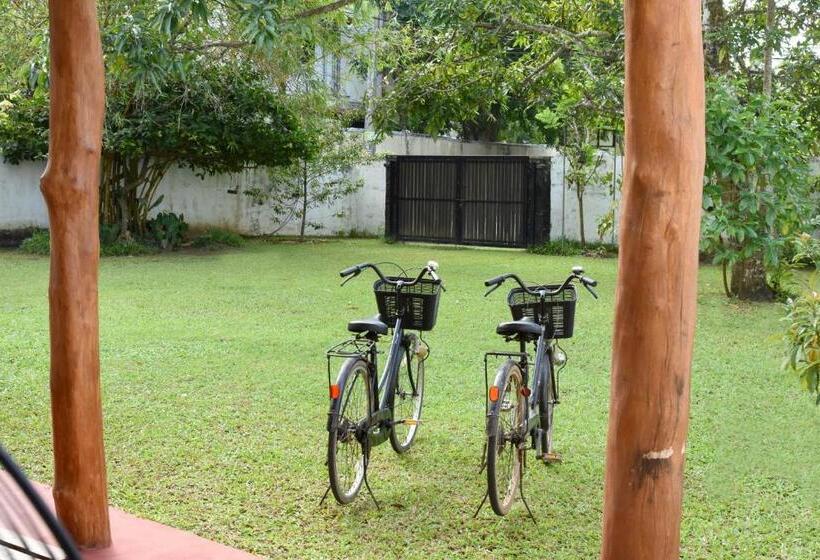 سوییت با چشم‌انداز باغ, Villa Polhena