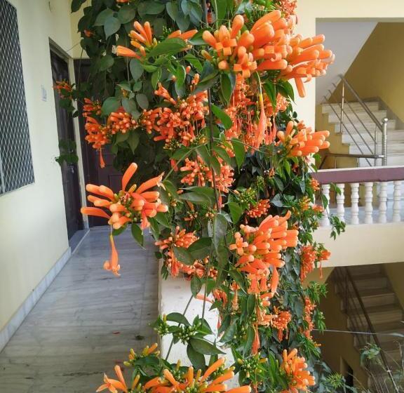 اتاق استاندارد با تخت بزرگ, Keshav Palace