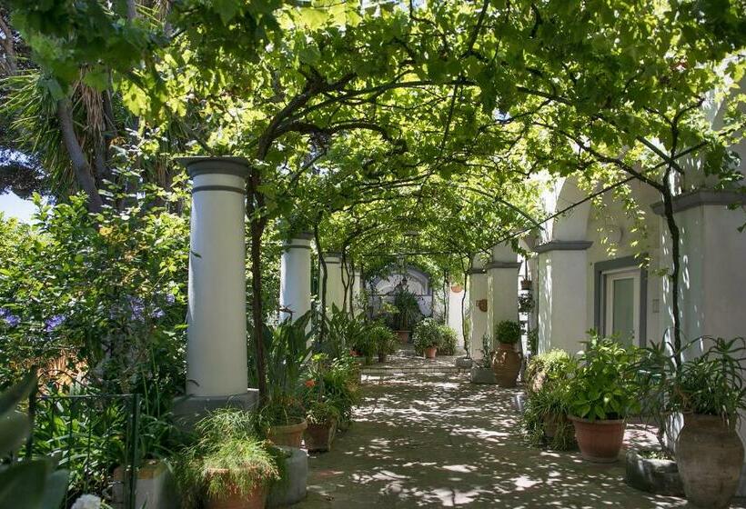 带露台的高档房间, Elisir B&b