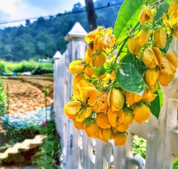 اتاق لوکس, Cozy Homestay Waterfall Road Ella