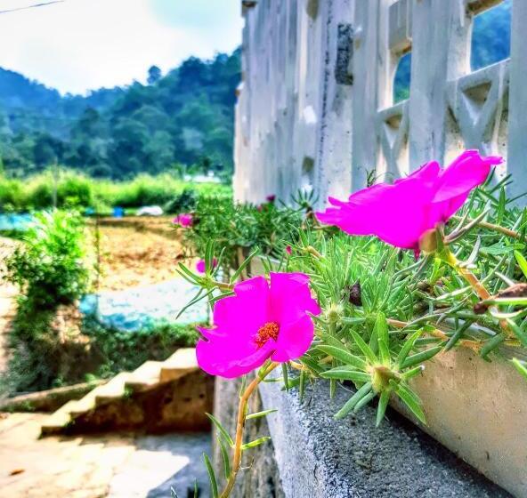 اتاق لوکس, Cozy Homestay Waterfall Road Ella