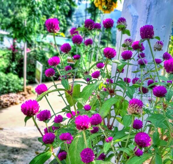 اتاق لوکس, Cozy Homestay Waterfall Road Ella