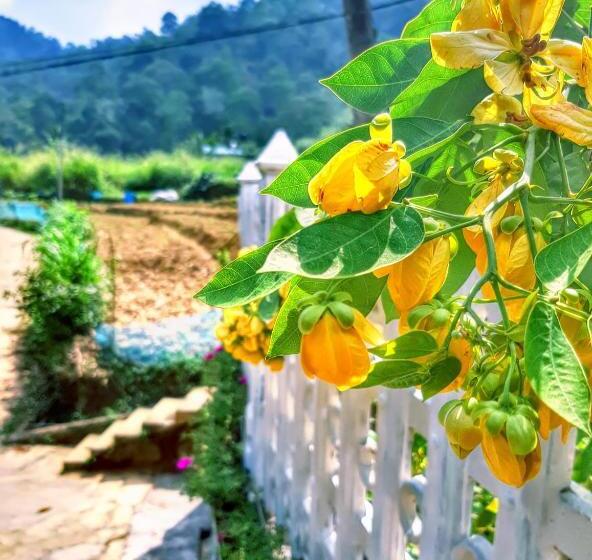 اتاق لوکس خانوادگی, Cozy Homestay Waterfall Road Ella