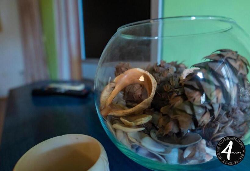 스탠다드 스튜디오 킹침대, 4 Rooms