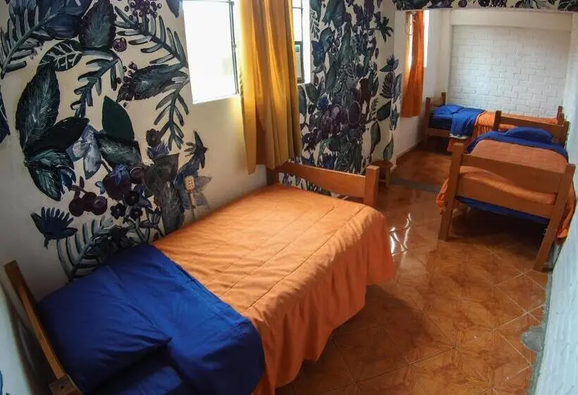 تختخواب در اتاق مشترک, Aldos Guest House