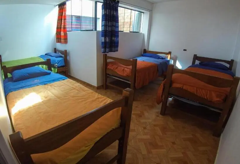 تختخواب در اتاق مشترک, Aldos Guest House