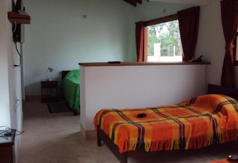 Семейный Номер, Casa Leo